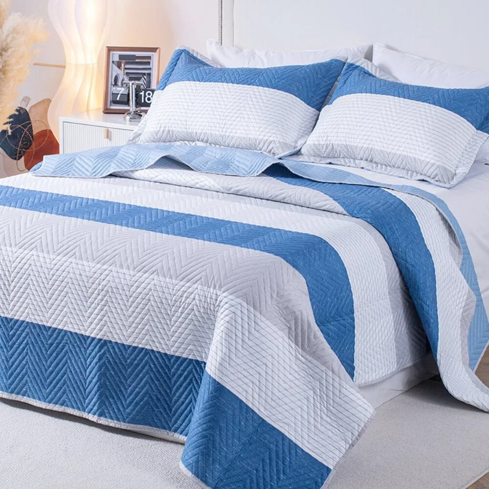 Queen - Soft & Cozy Blue and White Quilt Set